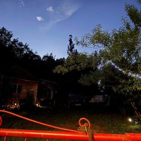 Вилла Casa- Viata La Tara Bucuresci Экстерьер фото