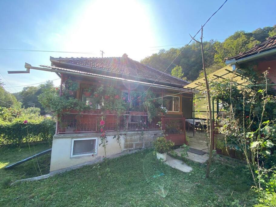 Вилла Casa- Viata La Tara Bucuresci Экстерьер фото