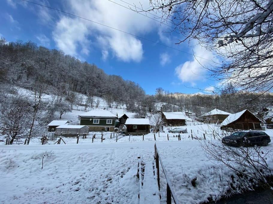 Вилла Casa- Viata La Tara Bucuresci Экстерьер фото