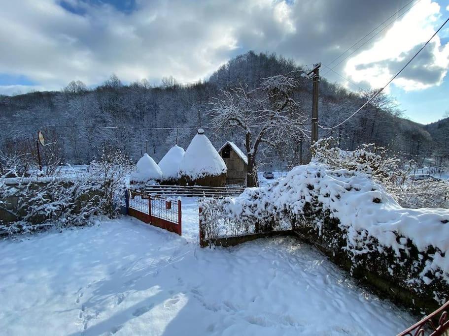 Вилла Casa- Viata La Tara Bucuresci Экстерьер фото
