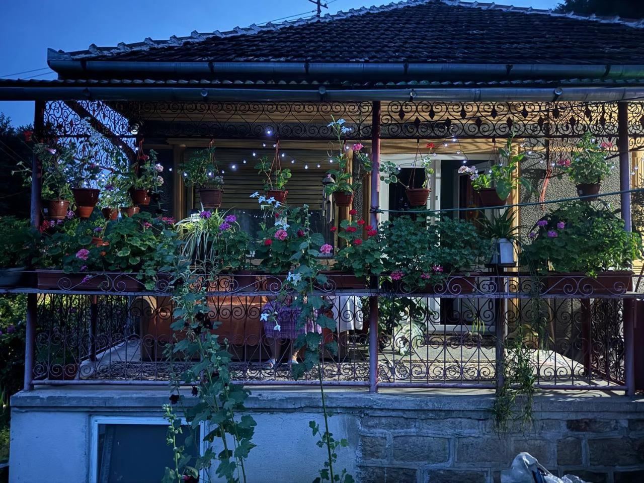 Вилла Casa- Viata La Tara Bucuresci Экстерьер фото