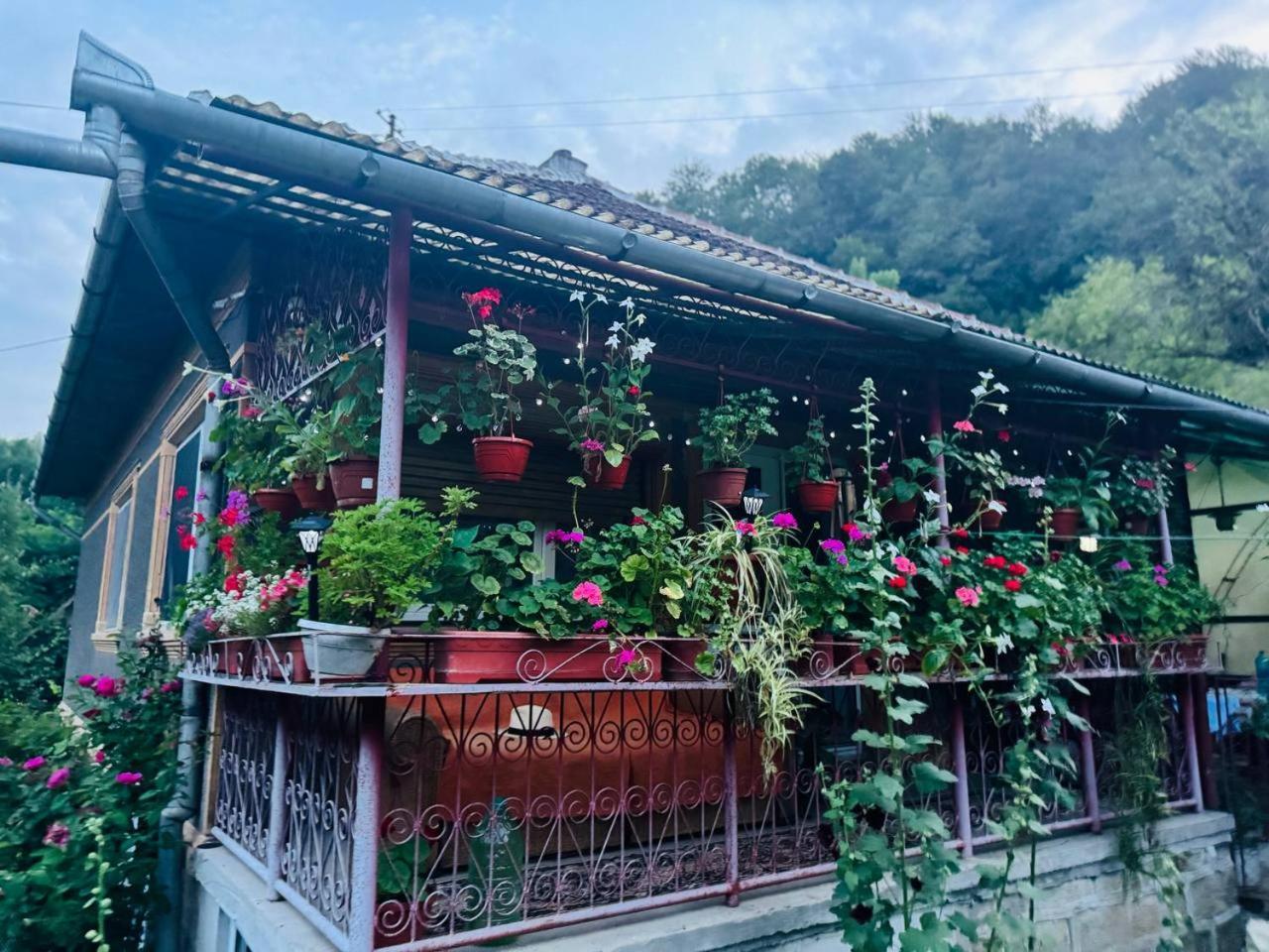 Вилла Casa- Viata La Tara Bucuresci Экстерьер фото